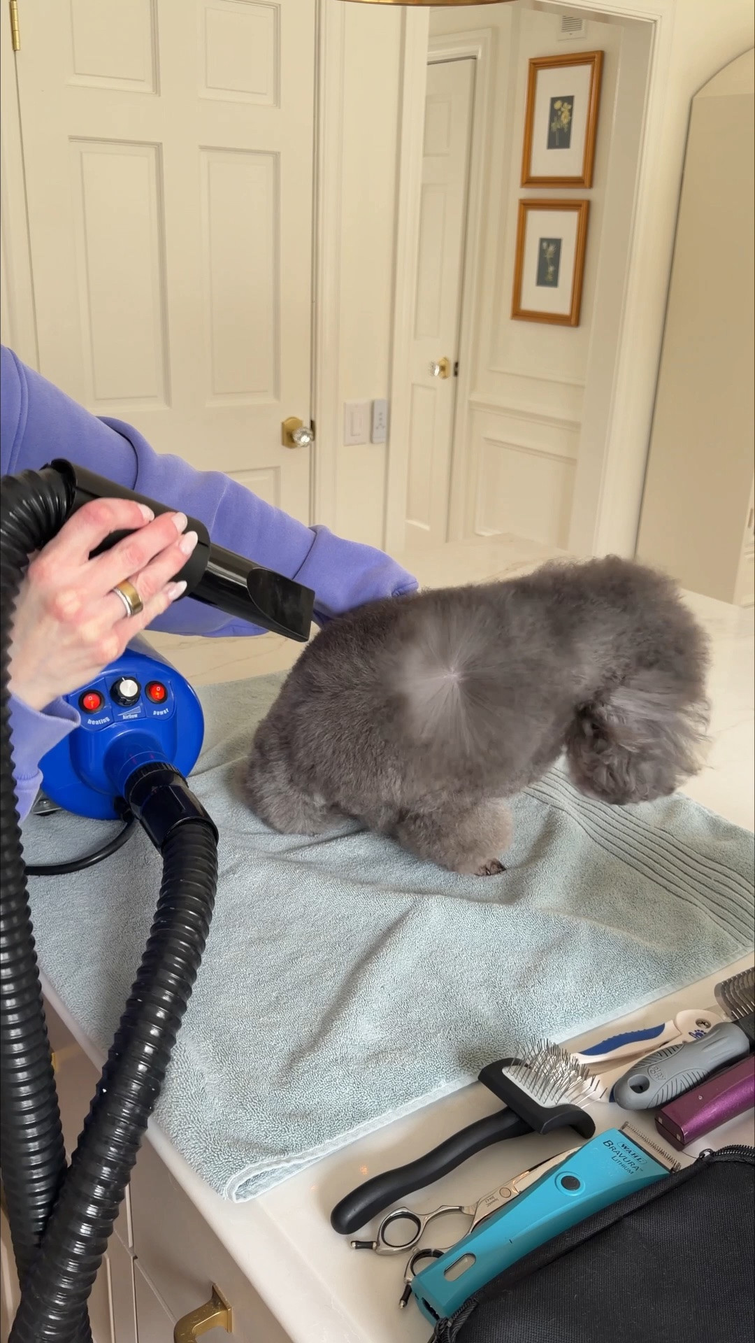 If your a dog owner you NEED this pet dryer! Dries your dog’s coat in a fraction of the time and ensures they are died properly to avoid skin irritation.