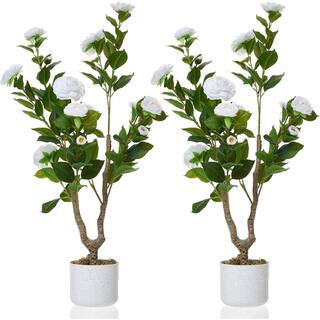 Gravee 2Pcs 3.9FT Artificial Camellia Tree , Faux Camellia Flowers with White Planter & 20 White ... | The Home Depot