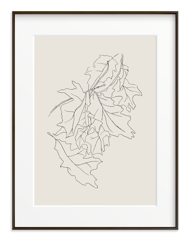 "Oak Leaf Study" - Drawing Art Print by Lorent and Leif. | Minted