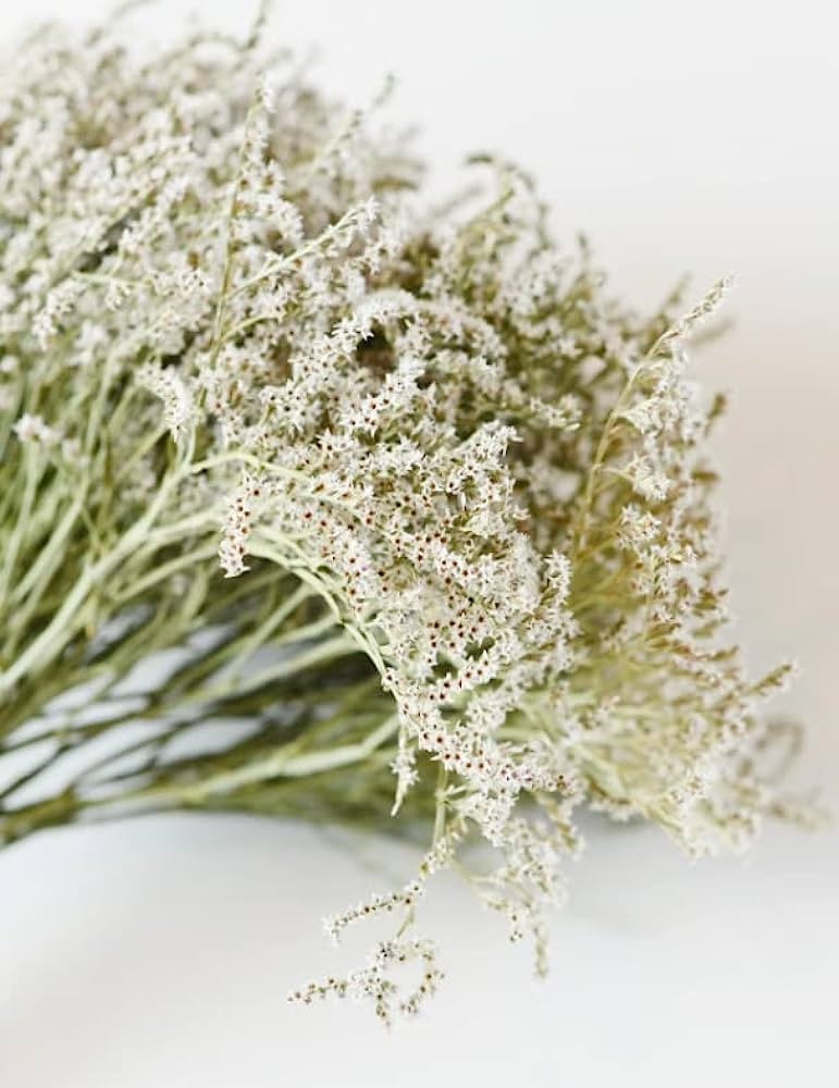 German Statice, Dry Flowers, White, Green, Wedding Bouquet, Floral Supply, Home Decor, Dried Wrea... | Amazon (US)