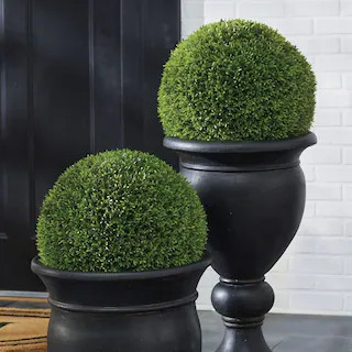 Single Podocarpus Ball | Grandin Road