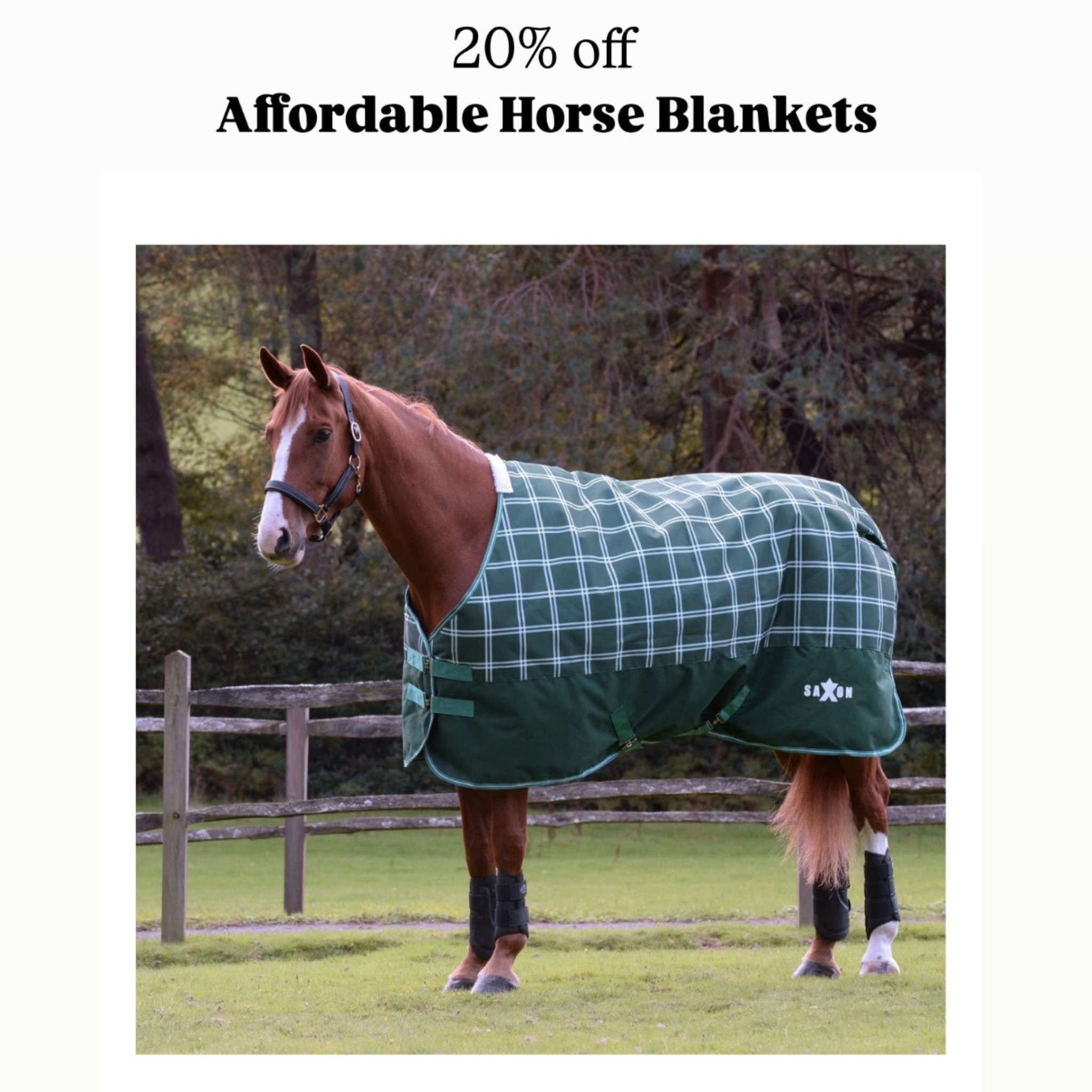Affordable Horse Winter Blanket | Comes in several colors + styles 🐴 

Winter Horse Care | Chewy.com Barn Favorites 

#LTKSeasonal