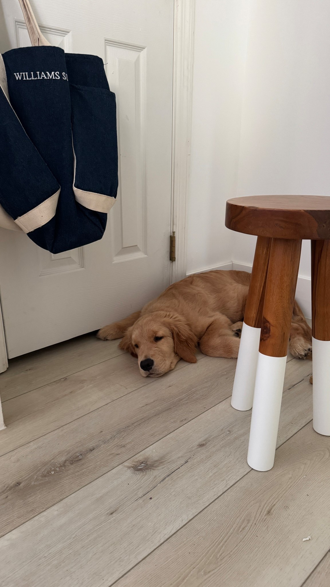 A lazy summer afternoon 

Nancy Meyer summer home 

#LTKHome