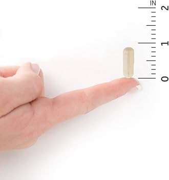 Garden of Life - Dr. Formulated Probiotics Once Daily - 30 Vegeterian Capsules | Amazon (US)