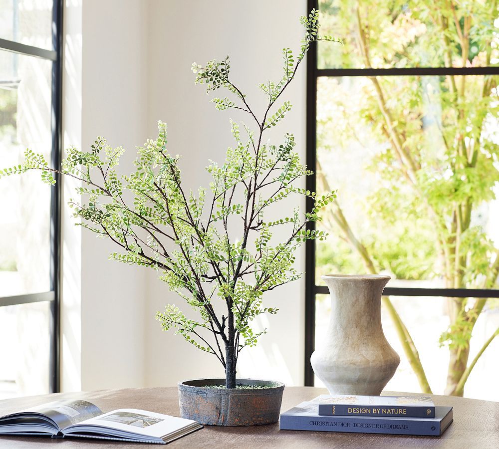 Faux Potted Sophora Tree Fern | Pottery Barn (US)