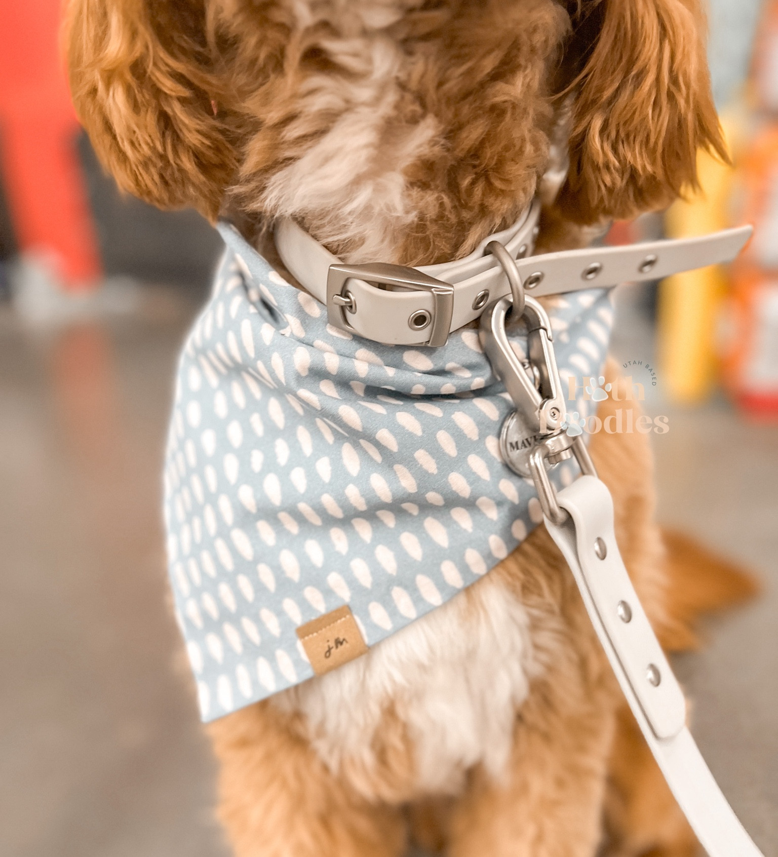 the collar your pet can roll around in the mud in, yet still look aesthetically pleasing 😍

#LTKhome #LTKbaby