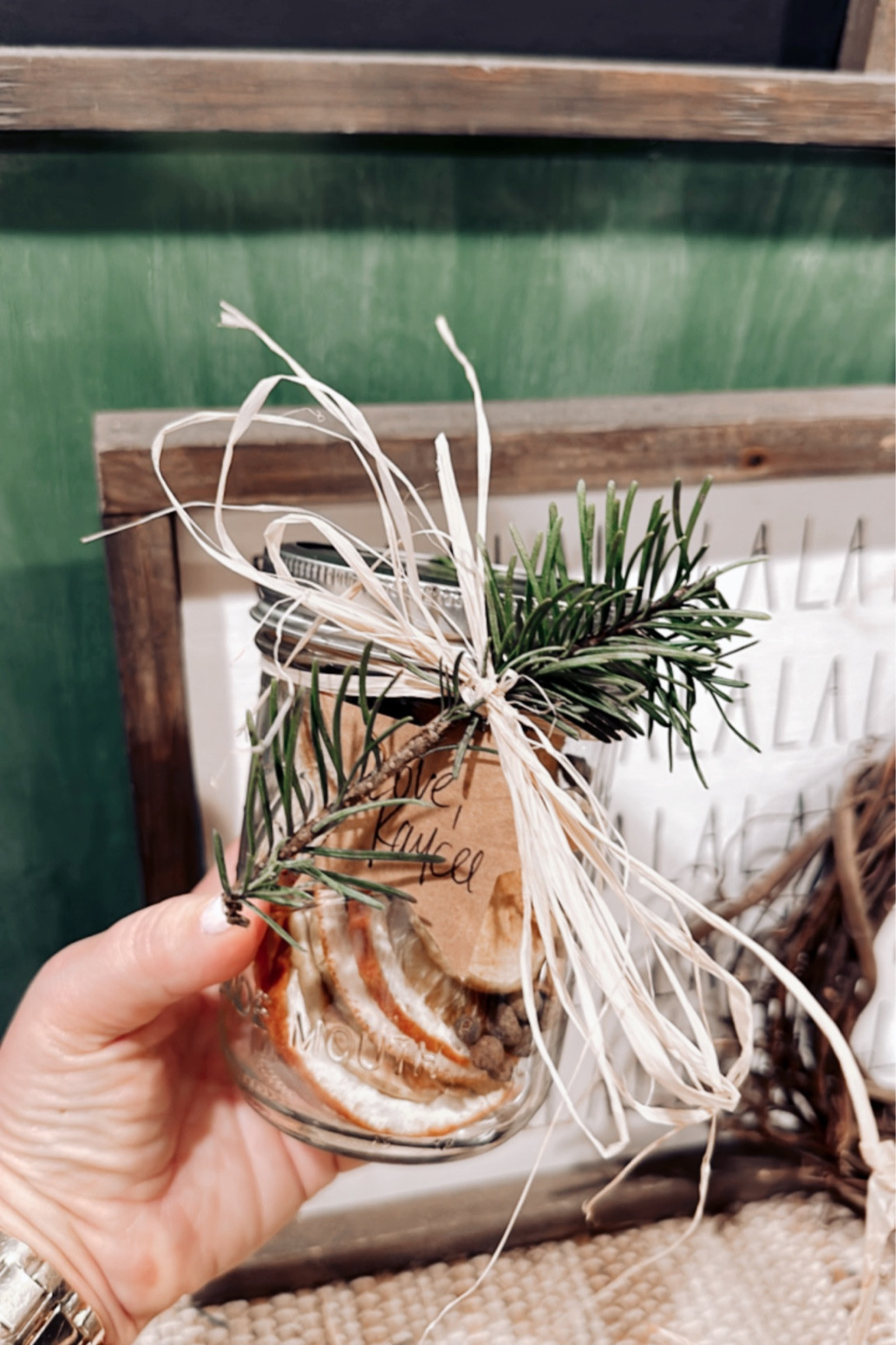 Homemade Gift Idea! Simmer pots🎄

#LTKGiftGuide #LTKSeasonal #LTKHoliday