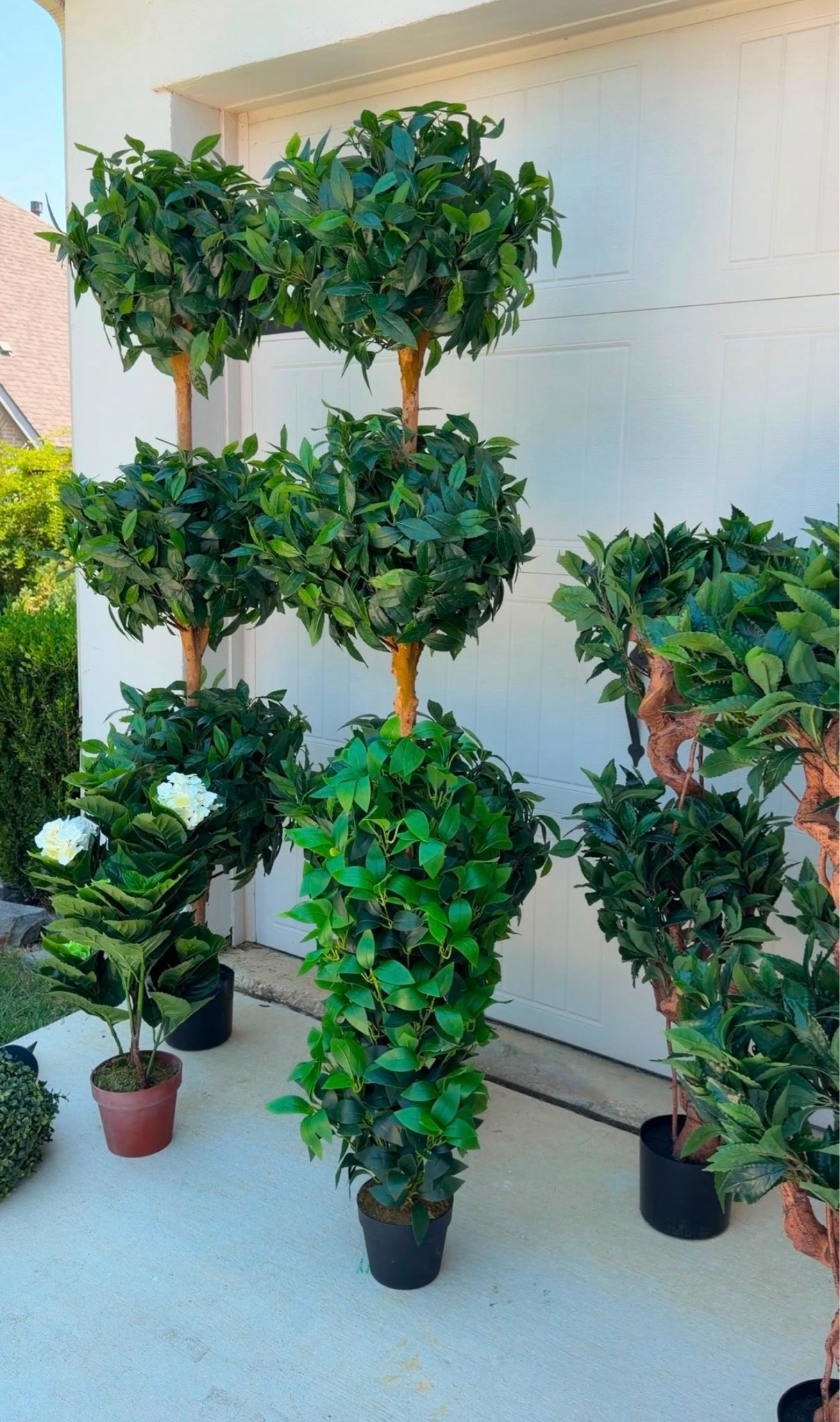 Faux plants 

Follow me @miriamobrien on IG and TikTok 

#amazon#homedecor#porch#faux

#LTKSeasonal #LTKOver40 #LTKHome

#LTKSeasonal #LTKOver40 #LTKHome