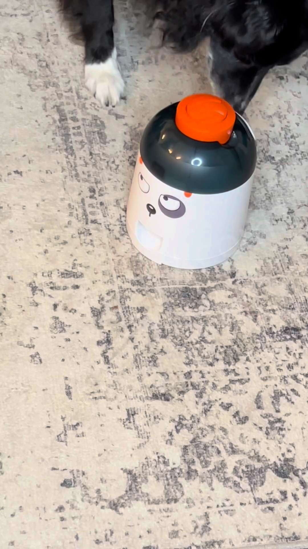 Potaroma Dog Puzzle Feeder Toy with electronic treat dispensing, IQ training, and interactive play. Automatic, rechargeable, and remote controlled. Holds 280ml and is suitable for all dog breeds. 

 #LTKPets