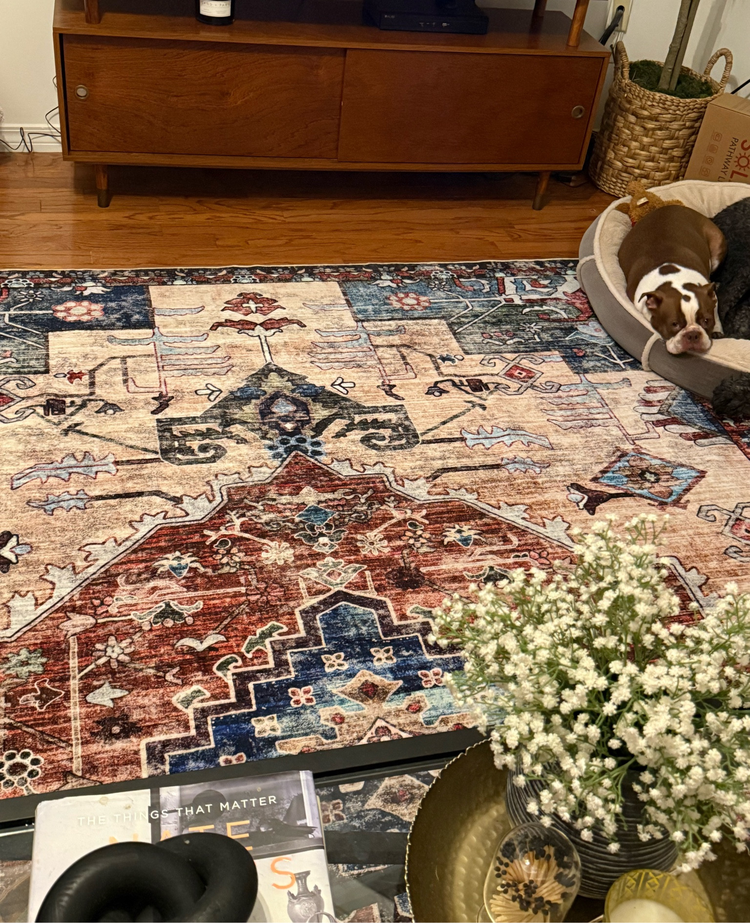 New Area Rug! This area rug is perfect for Modern Vintage home decor ! 

#LTKHome