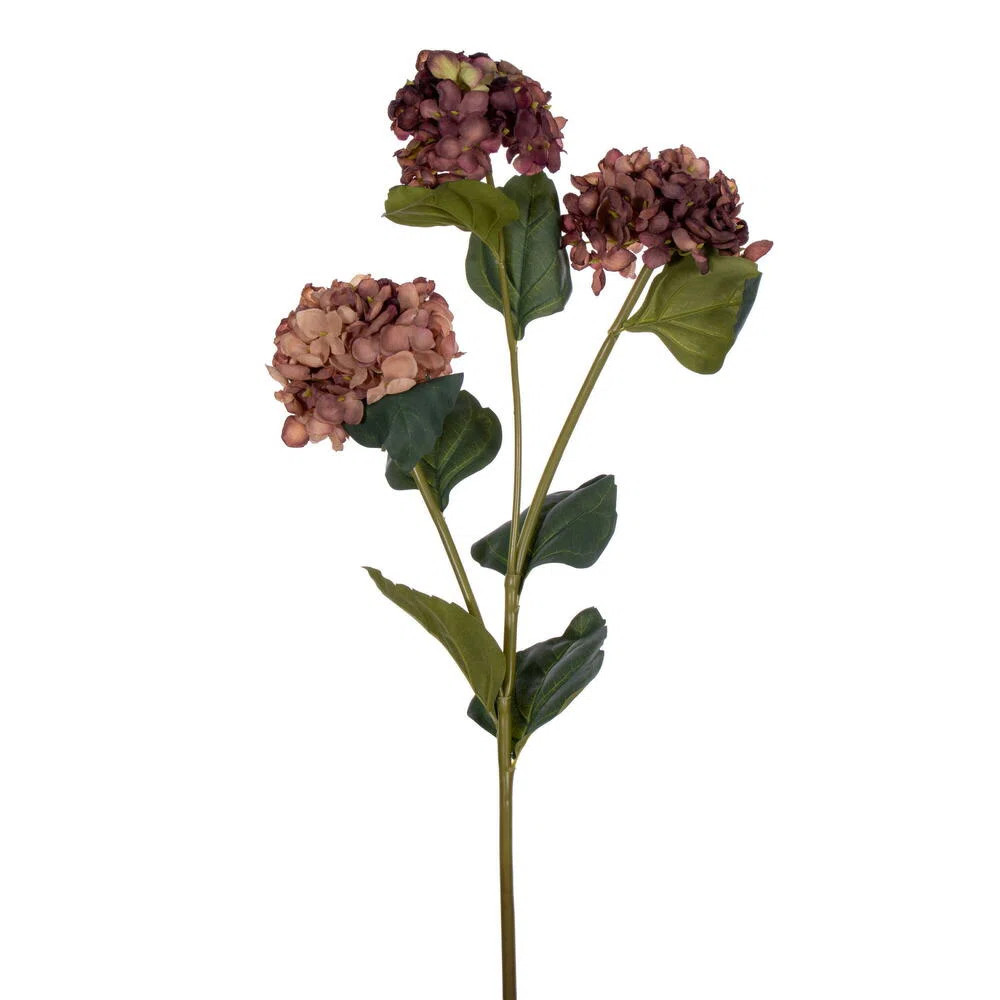 Ranbir Hydrangea Stem | Wayfair North America