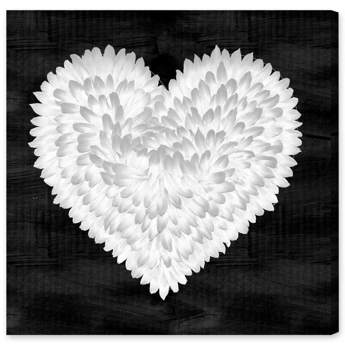 White On Black Feather Heart Graphic Art on Wrapped Canvas | Wayfair | Wayfair North America
