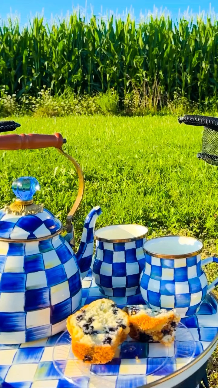 do you take your @mackenziechilds  camping with you? why not? it’s so durable and u breakable and let’s not forget it’s PRETTY 

#mackenziechilds  #mackenziechildseveryday  #royalcheck #camping #boondocking #glamping #rvlife