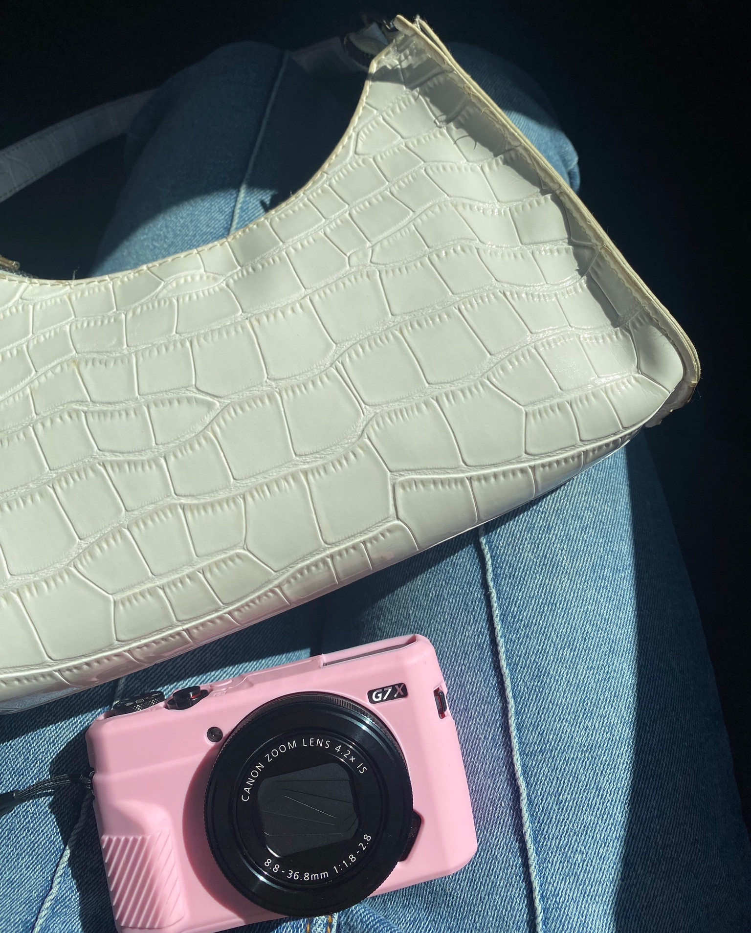 white snake skin shoulder bag, pink camera case, canon g7x mark ii camera 


#LTKitbag