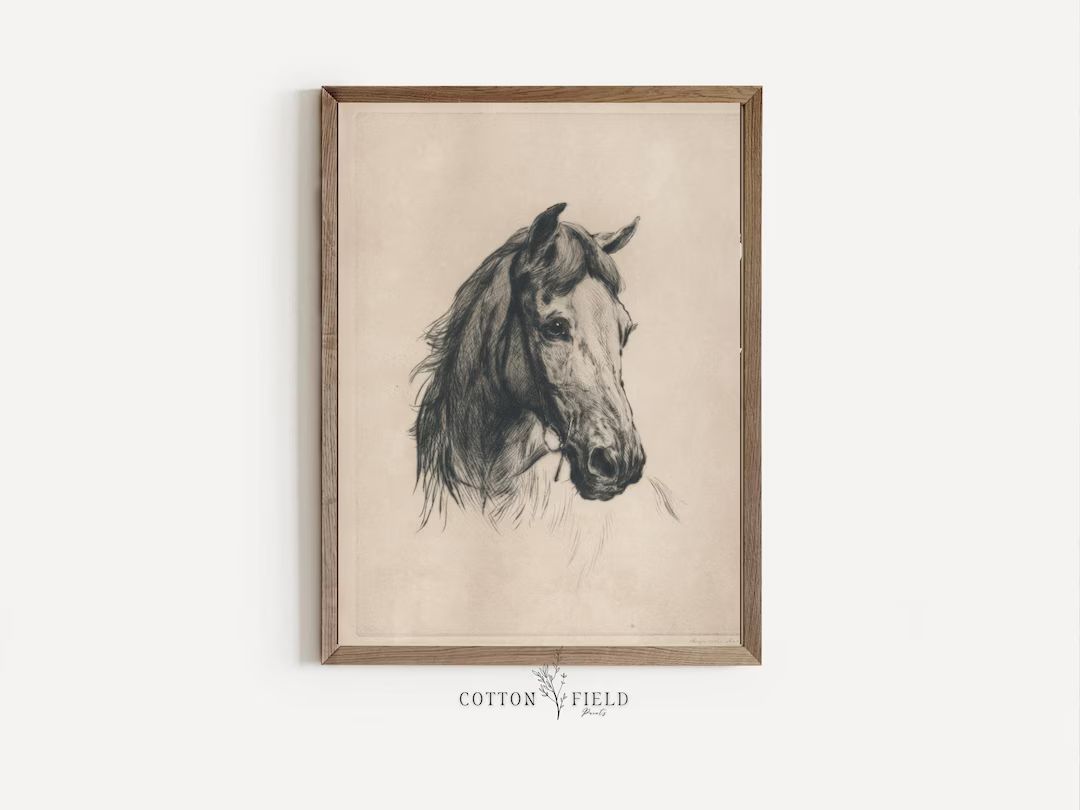Horse Sketch  Vintage Horse Prints  Horse Printable Art  - Etsy | Etsy (US)
