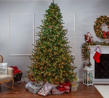 Pre-Lit Faux Norfolk Pine Artificial Christmas Trees | Pottery Barn (US)