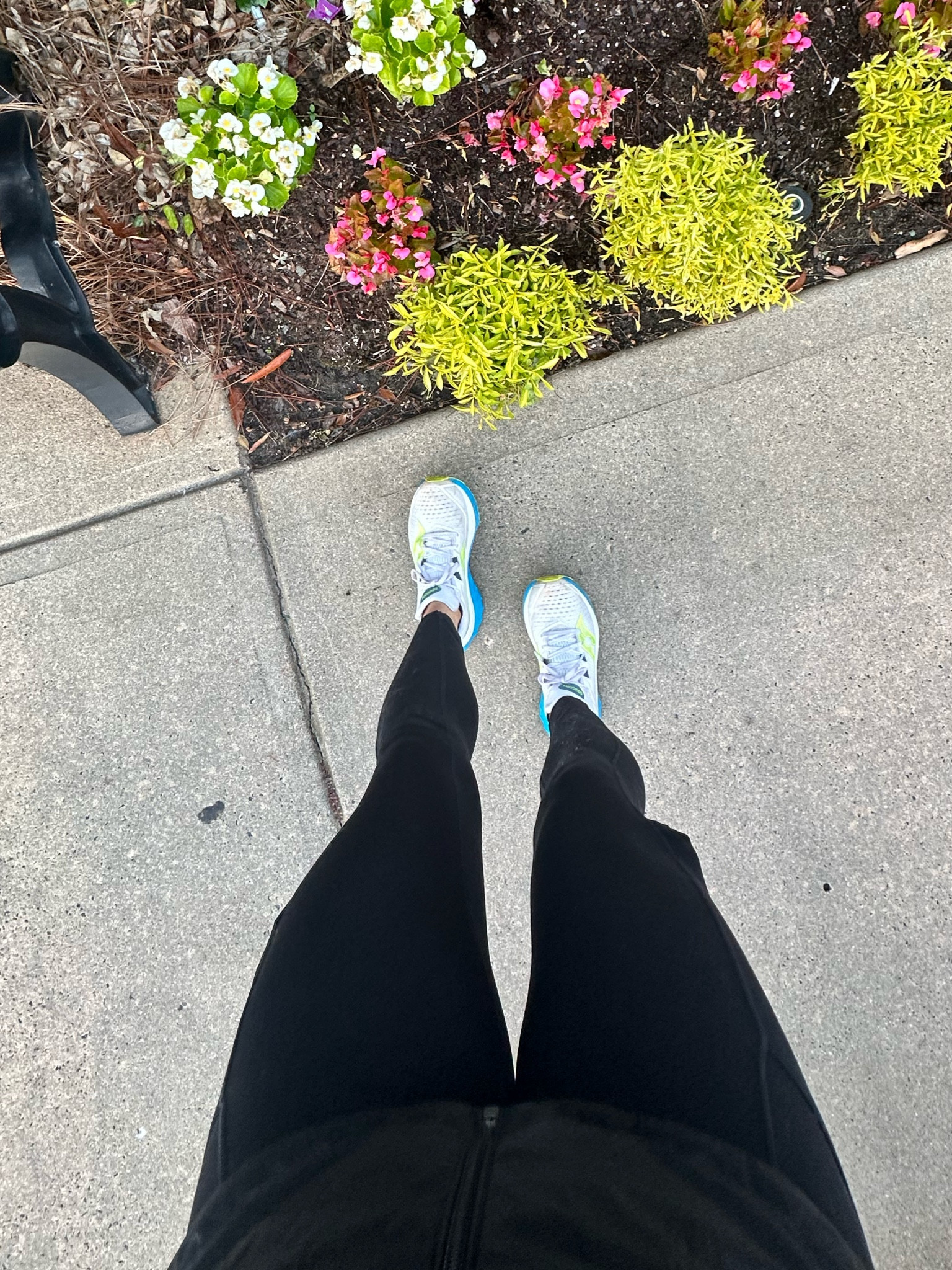 My training shoes for this last marathon block 💚🩵

#LTKFitness #LTKActive #LTKShoeCrush