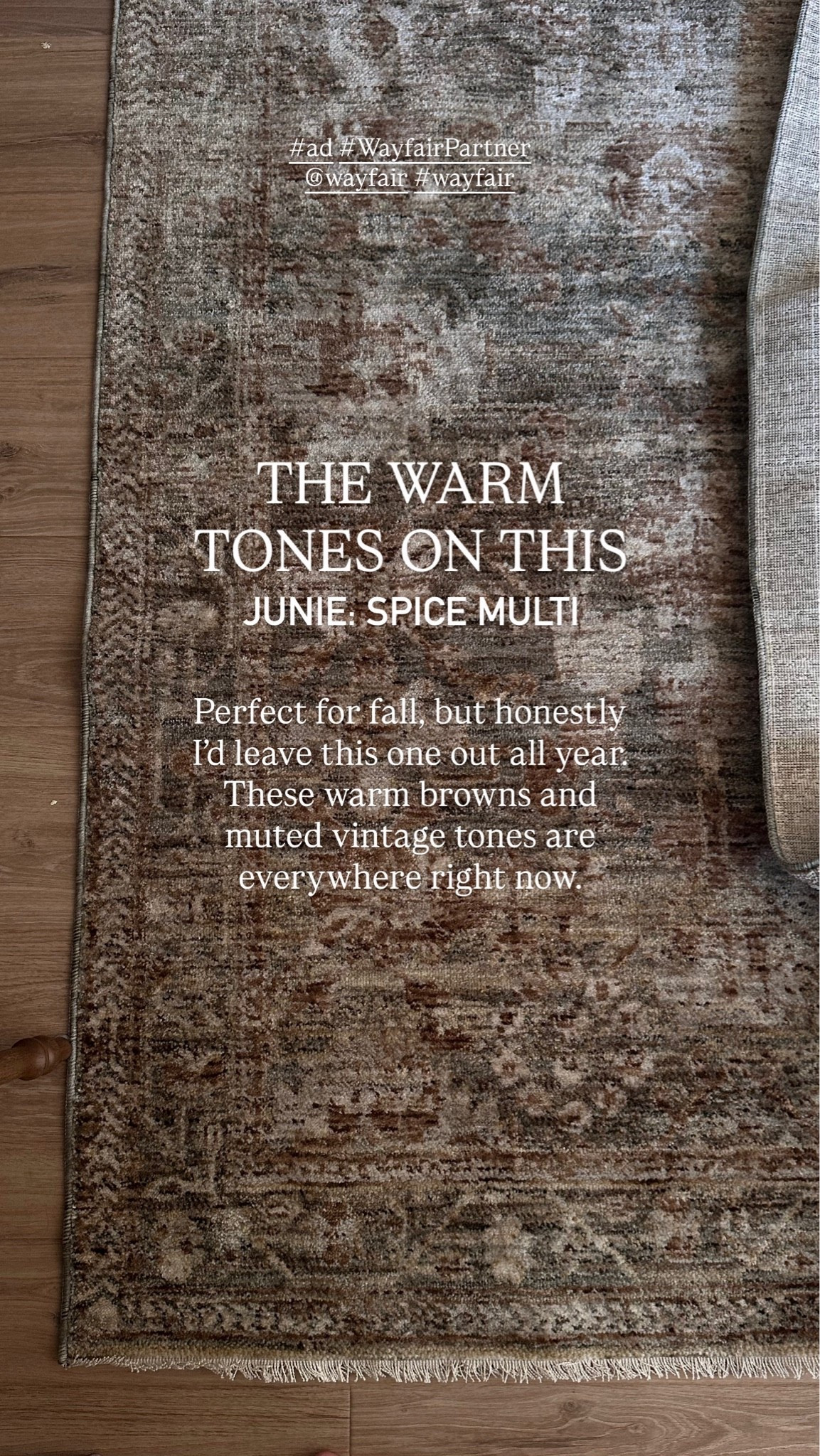 #ad This rug has the prettiest fall colors. The warm browns and muted tones are so good right now, but it doesn’t feel like a rug you’d have to put away when fall is over. I’d honestly use it all year. It has that vintage look, it’s a nice low pile, and it works so well with warm wood tones and neutral furniture.

@Wayfair #WayfairPartner #wayfair

#LTKSaleAlert #LTKHome