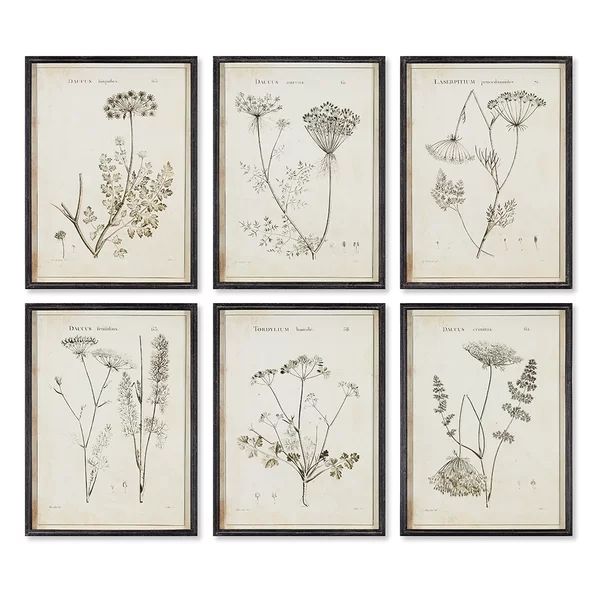 Bridgeton Wild Flower - 6 Piece Picture Frame Print | Wayfair North America