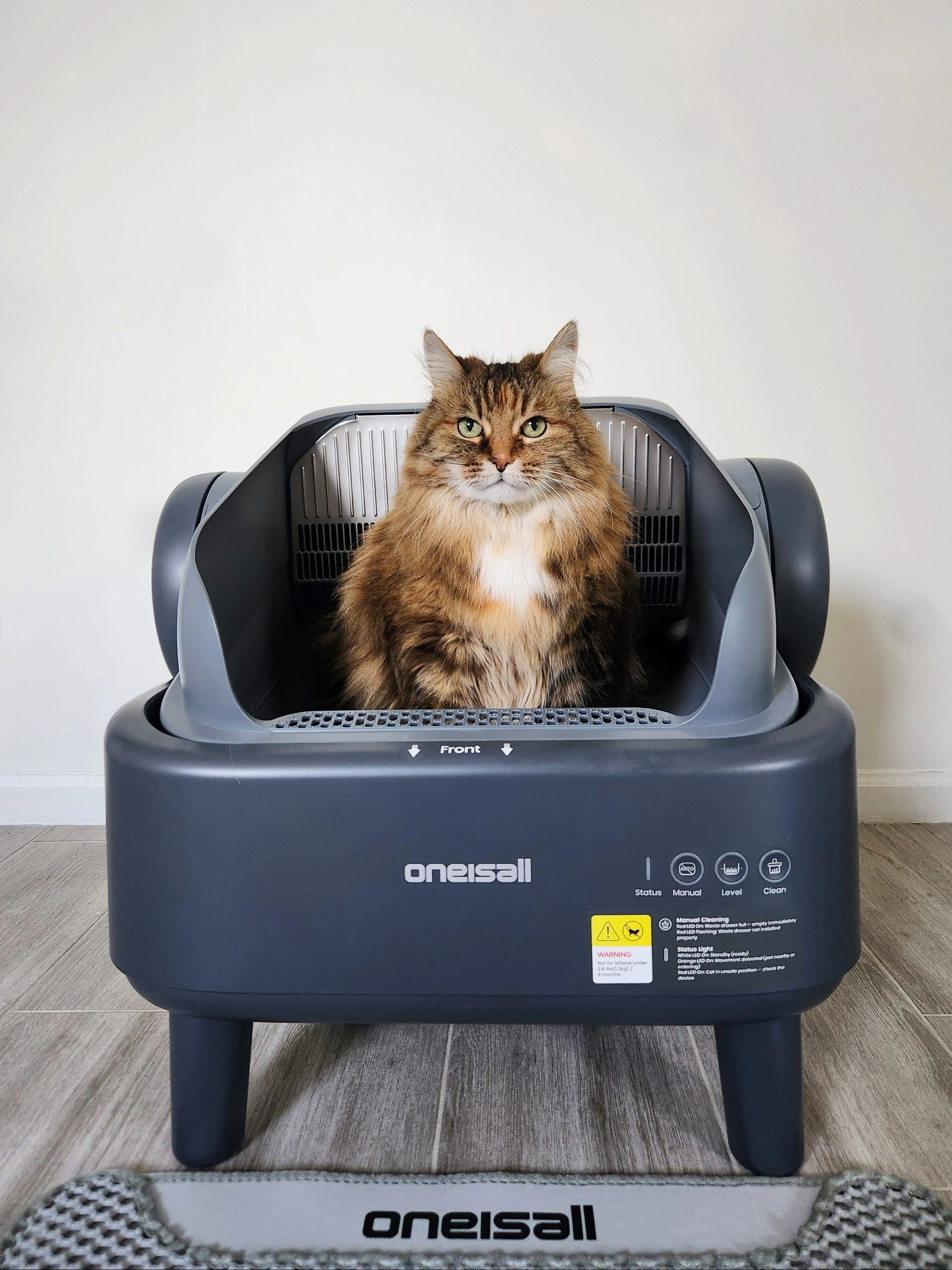 #ad @Oneisall_Official Is The Brand That Gives You The Life You Have Always Wanted With Your Cat😺No More Headaches, Just Love & Memories Made Everyday💛This Automatic Cleaning Litterbox Is Detachable, Rinseable & Spotless🧽Detach In Just 10 Seconds & Clean In Under 20 Seconds🧼No Tools, No Trapped Waste In Corners & No Lingering Odors🚫🤢The Perfect Litterbox For Your Fur Baby🐈🐾Get Yours Today, Linked In My Bio⤴️#Oneisall #TashaBebe #Litterbox #NoScoop

