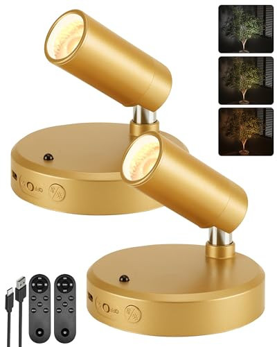 EZVALO LED Spotlight Indoor, 5500mAh Rechargeable Battery-Powered Uplights Indoor, Wireless Mini Art Accent Spot Lights with Remote, for Plants, Display, Painting, Artwork, Portrait (2-Pack-Gold) | Amazon (US)