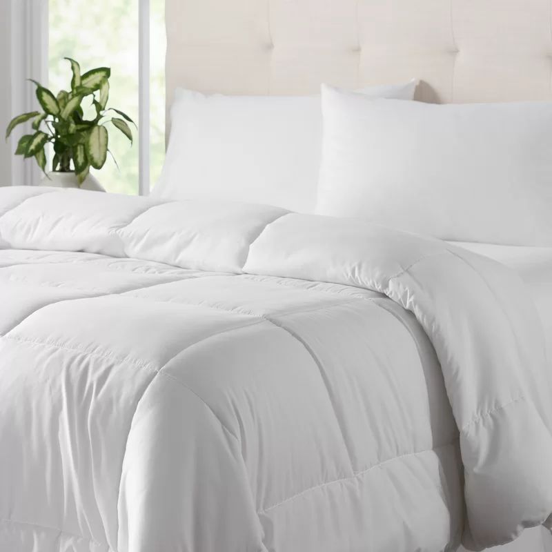 Wayfair Basics® 1800 Series All Season Polyester Down Alternative Comforter | Wayfair North America