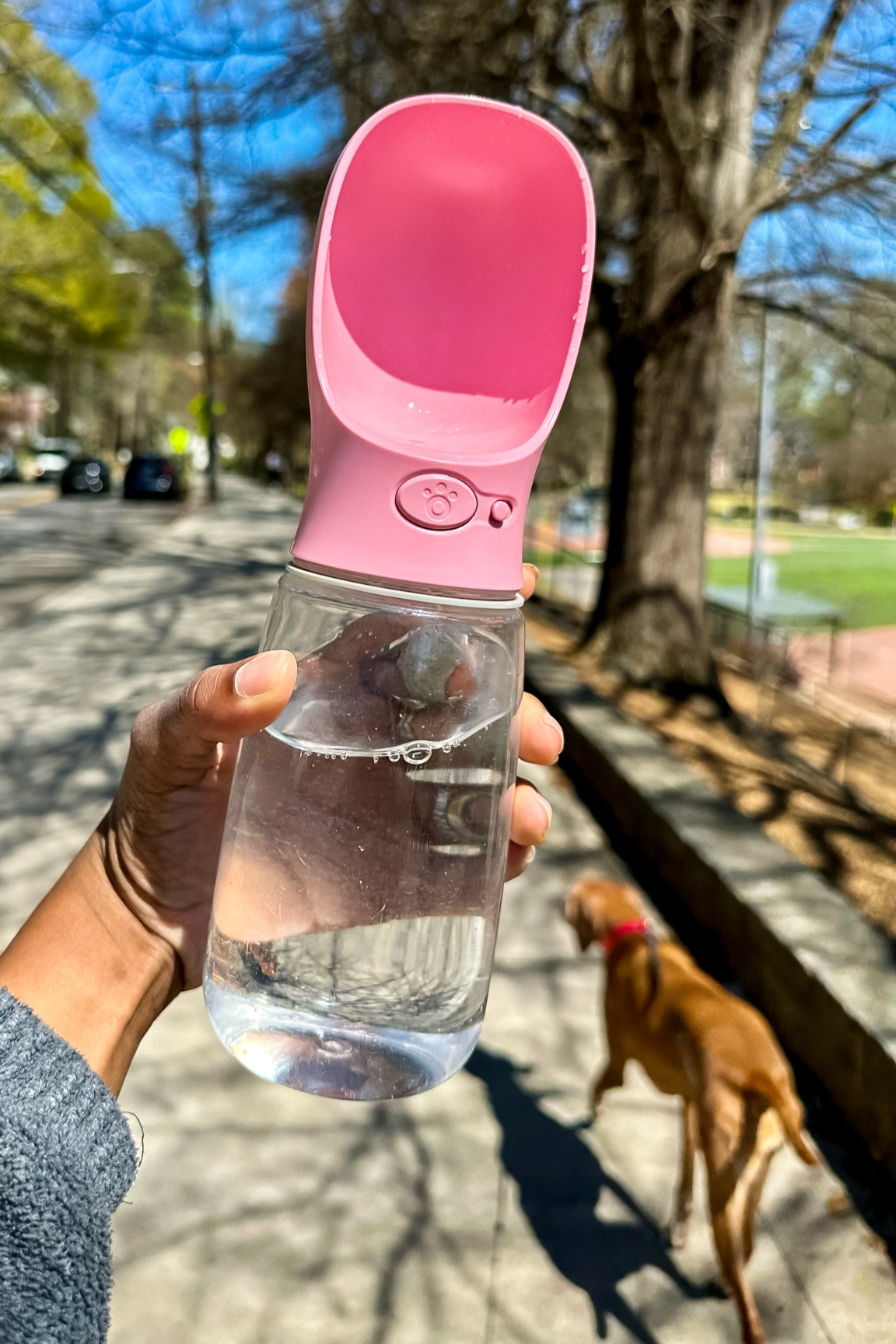 Dog moms please take care of your fur babies this spring and summer…invest in a travel water bottle for them! Riley loves this…every time I say “water” she stops…and gets hydrated! 


You drink water…why not them?! 

#LTKfamily #LTKtravel #LTKfindsunder50