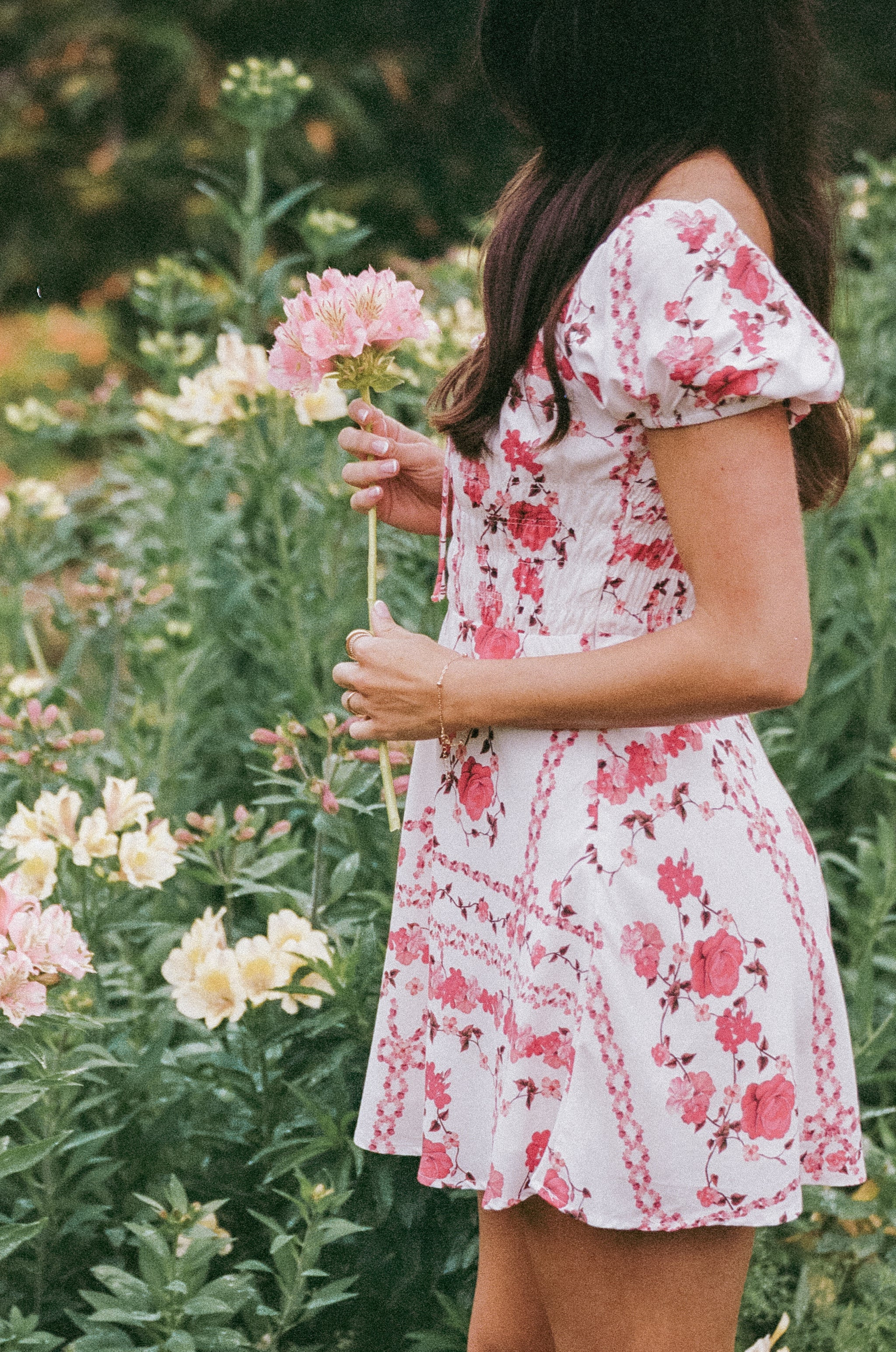 Jorja Mini Dress - Red Rose | Petal & Pup (US)