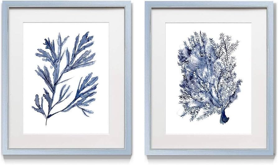 Renditions Gallery Seaweed (1) 2 Framed Artwork Set, Underwater Ocean Themed Pair, Tropical Indig... | Amazon (US)