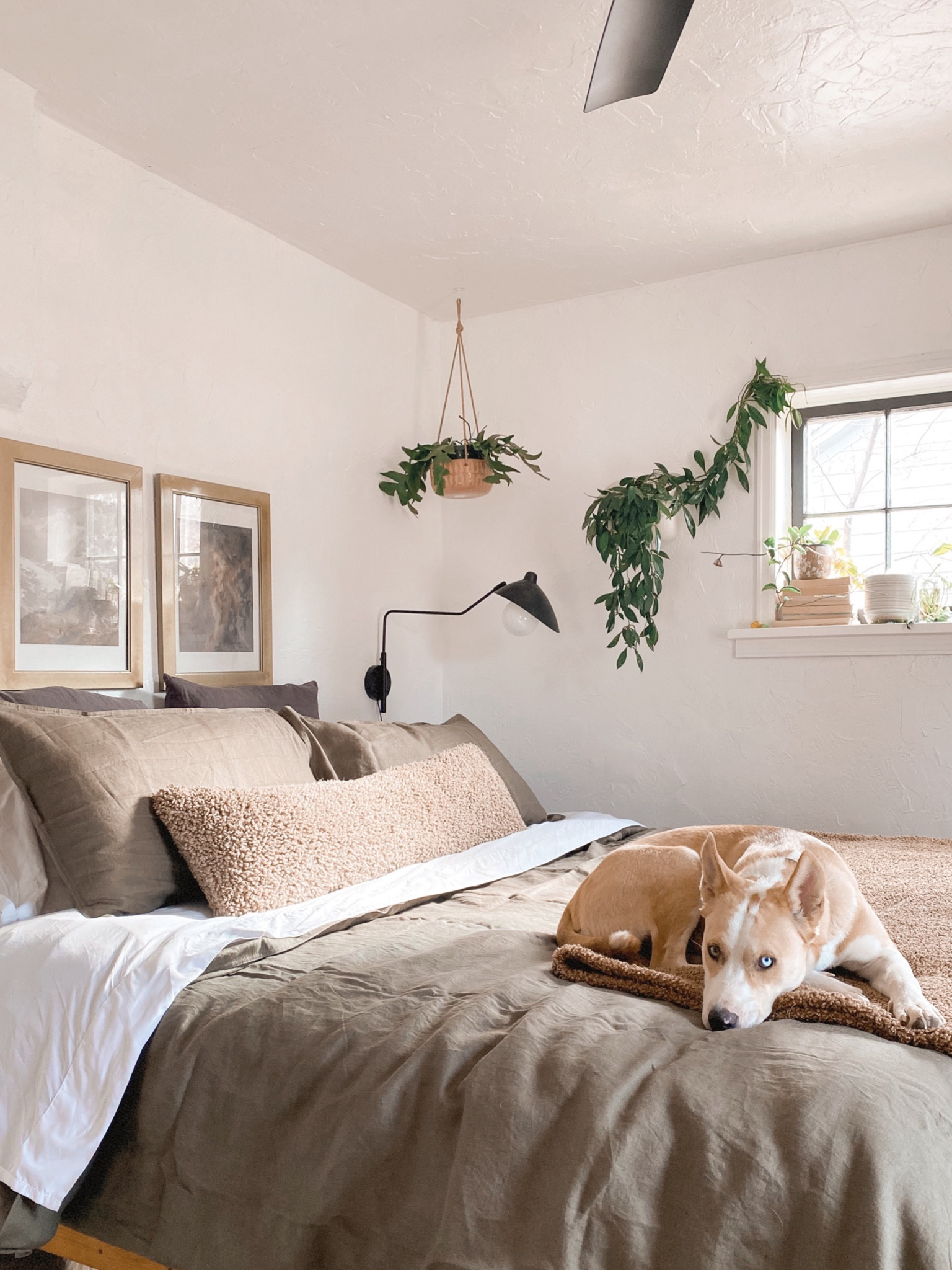 some fresh begging for spring 🥰 #amazonhome #etsy #duvet #linenduvet

#LTKhome #LTKFind