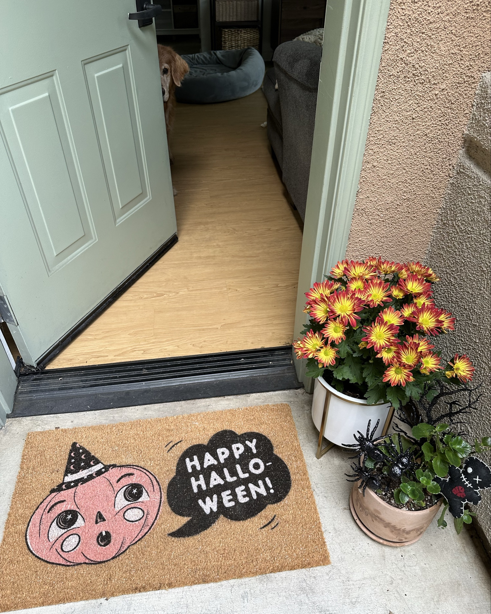 Halloween decor, decoration, doormats, outdoor decor, home decor, vase, pots, garden, front door decor, pumpkin, skeletons, spooky decor  

#LTKHalloween #LTKSeasonal #LTKHome