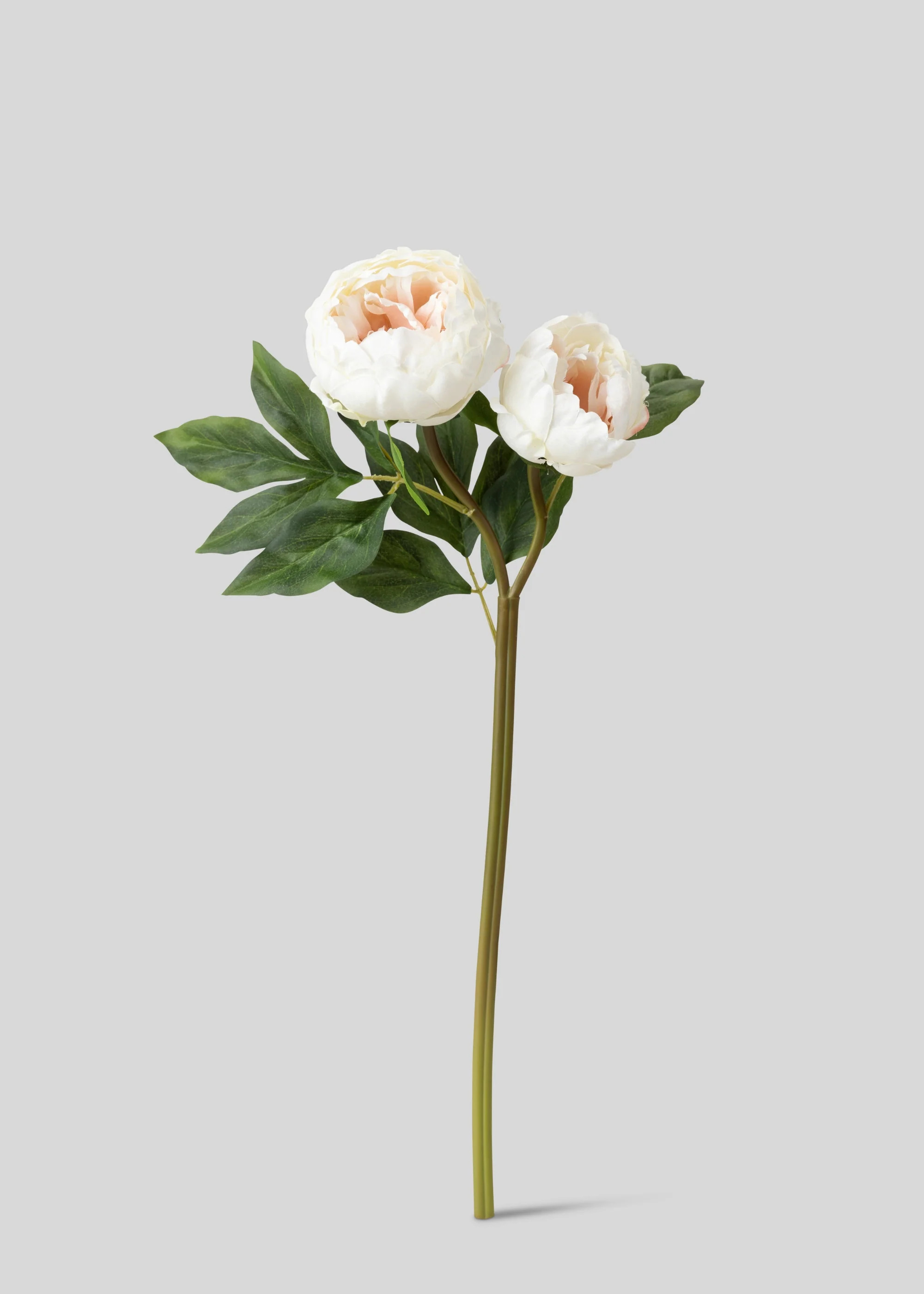 Cream Peony Stem | Artificial Wedding Flowers | Afloral | Afloral