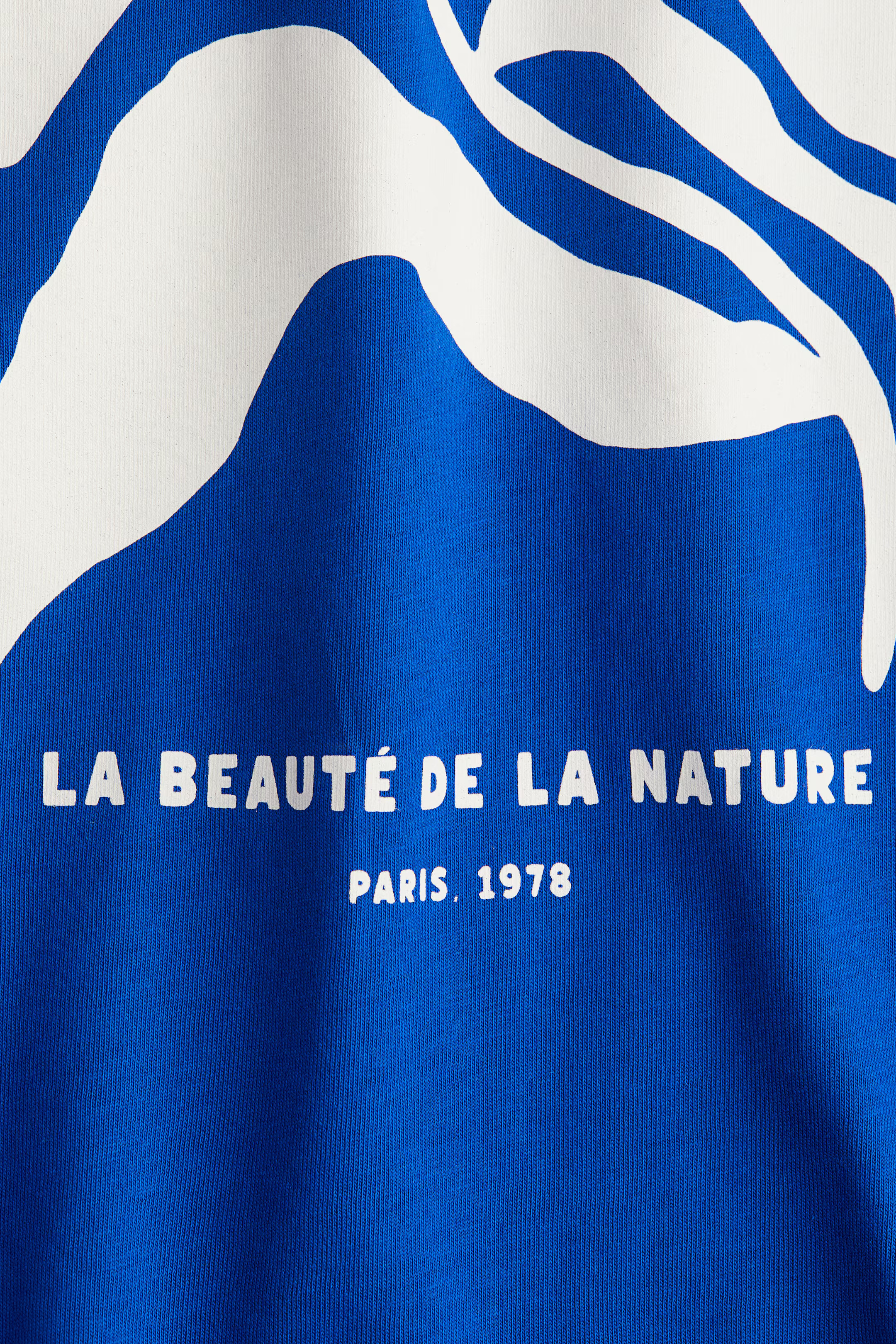 Oversized T-Shirt | H&M (US + CA)