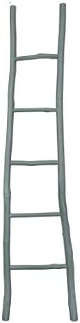 Creative Co-Op Decorative Wood Ladder Misc Furniture, Grey | Amazon (US)