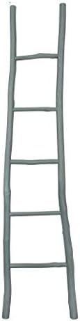 Creative Co-Op Decorative Wood Ladder Misc Furniture, Grey | Amazon (US)