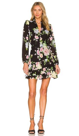 Jenna Dress in State Of Grace Black | Revolve Clothing (Global)