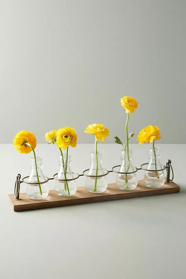 Apothecary Bud Vases, Set of 5 | Anthropologie (US)