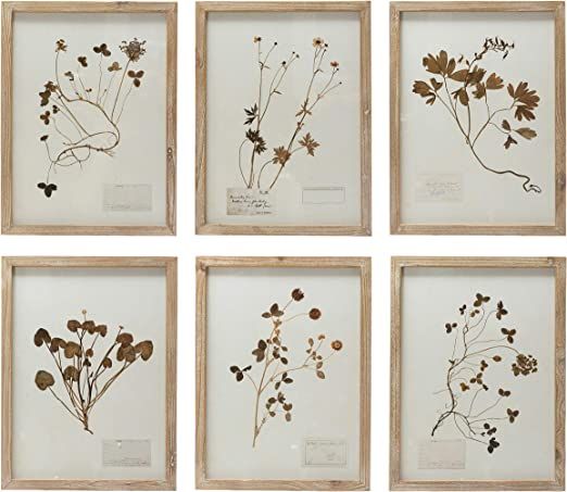 Creative Co-Op Wood Framed Decor with Botanicals, 6 Styles Wall Art, Multi | Amazon (US)
