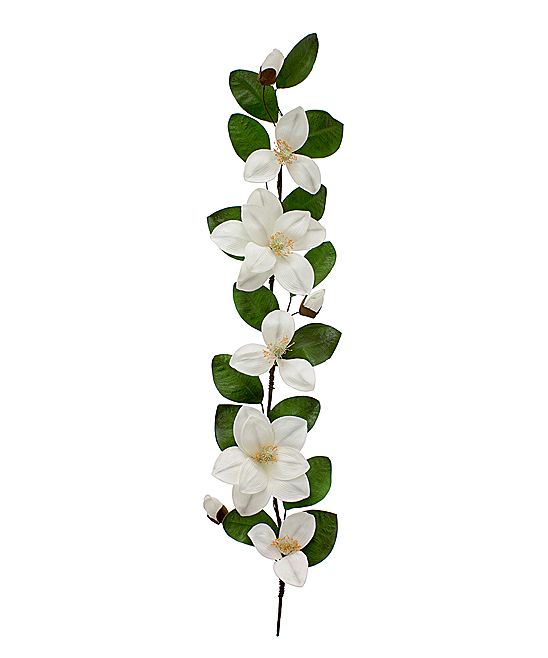 Magnolia Garland | Zulily