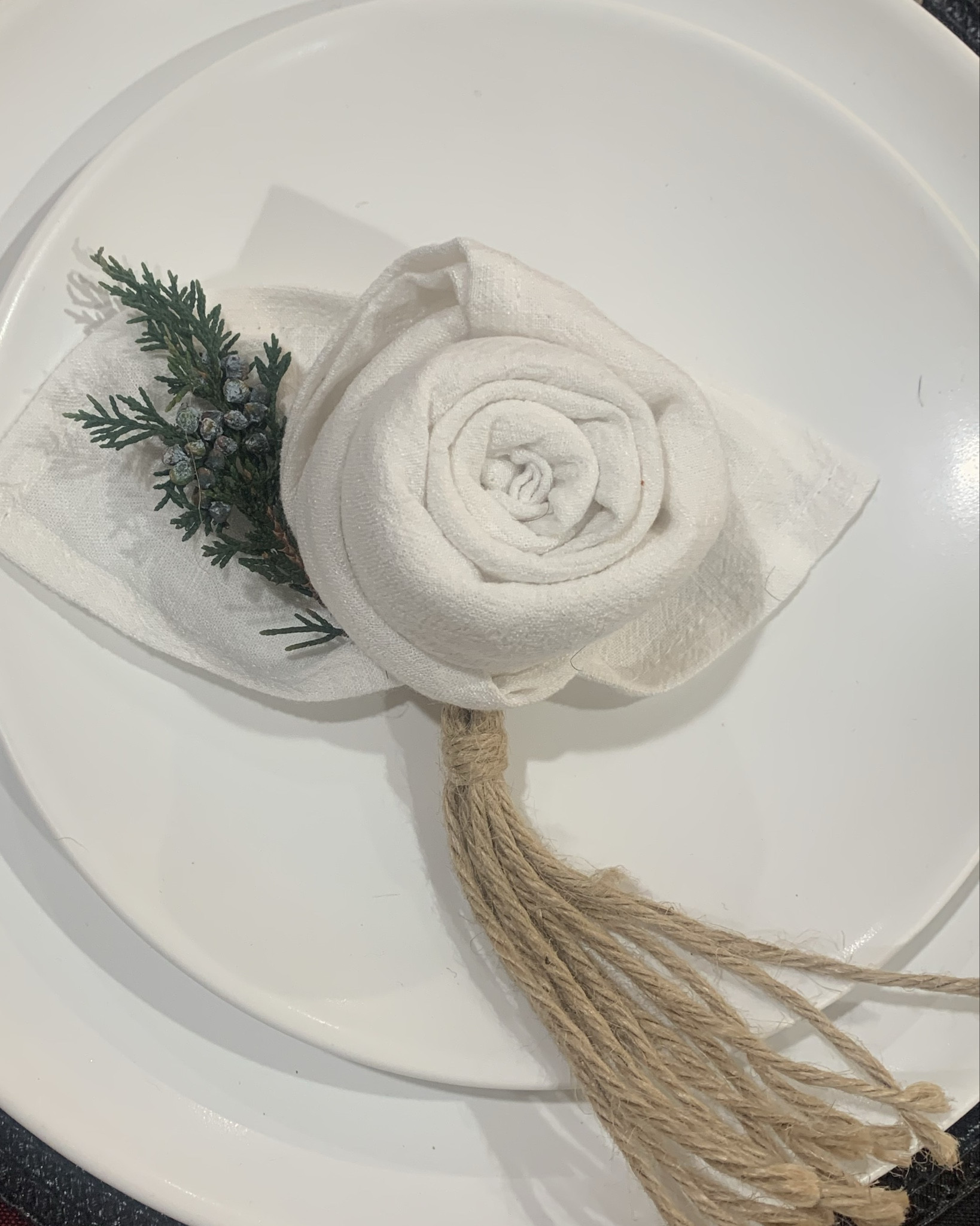 Napkin details can make a huge impact and make your guests feel speciall

#LTKStyleTip #LTKParties #LTKHome