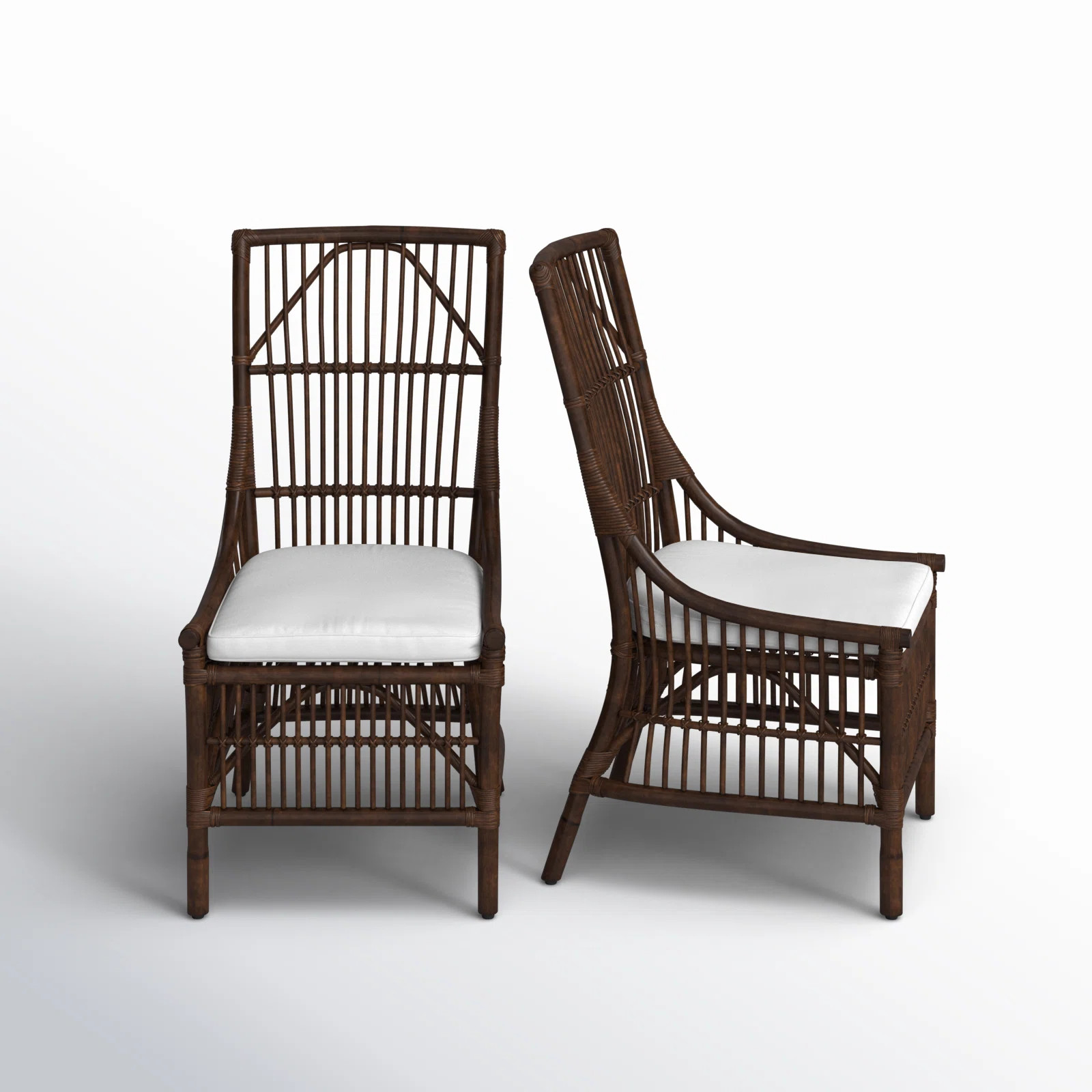 Barkley Woven Side Chair (Set of 2) | Birch Lane