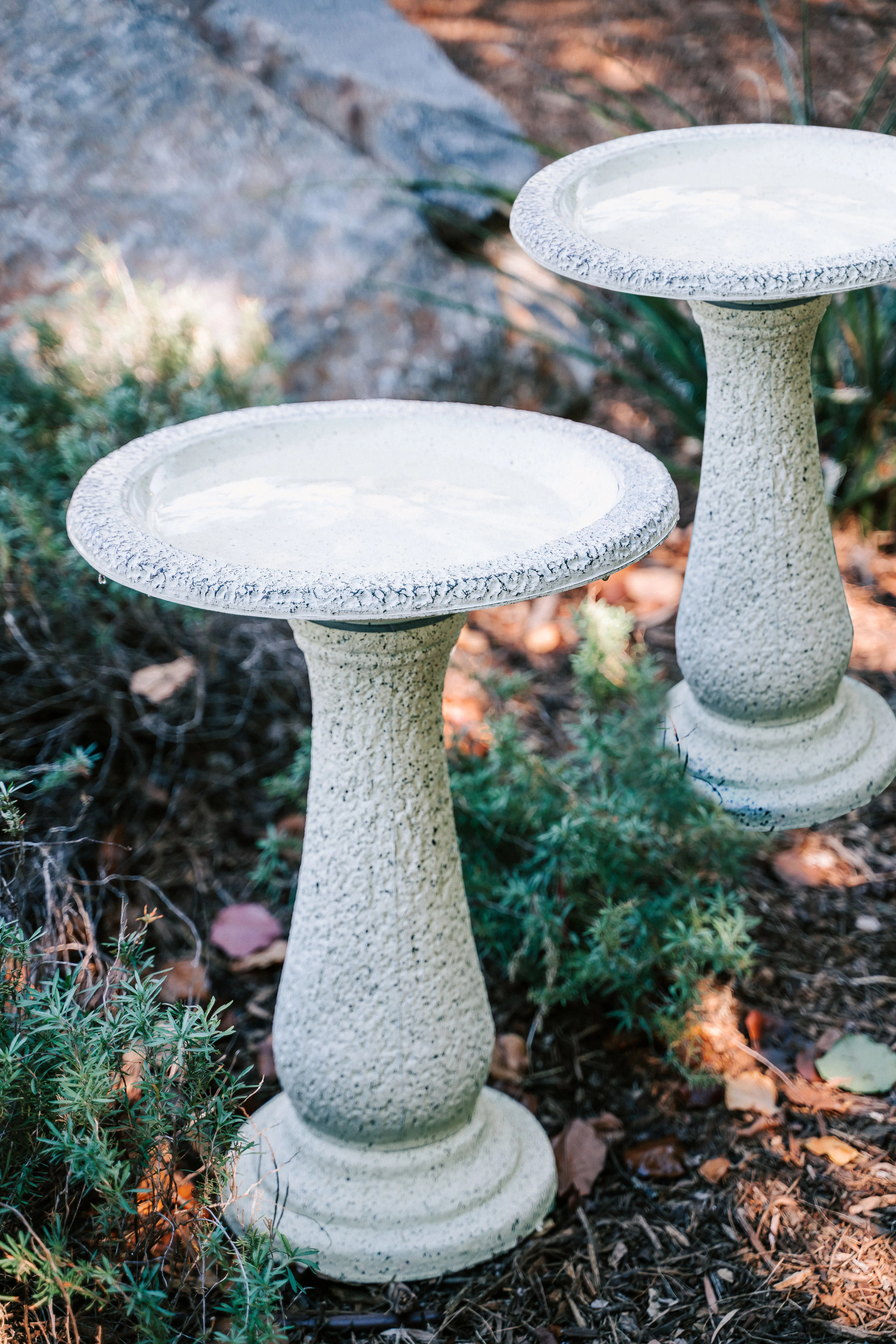 Dezera Birdbath (Set of 2) | Wayfair North America