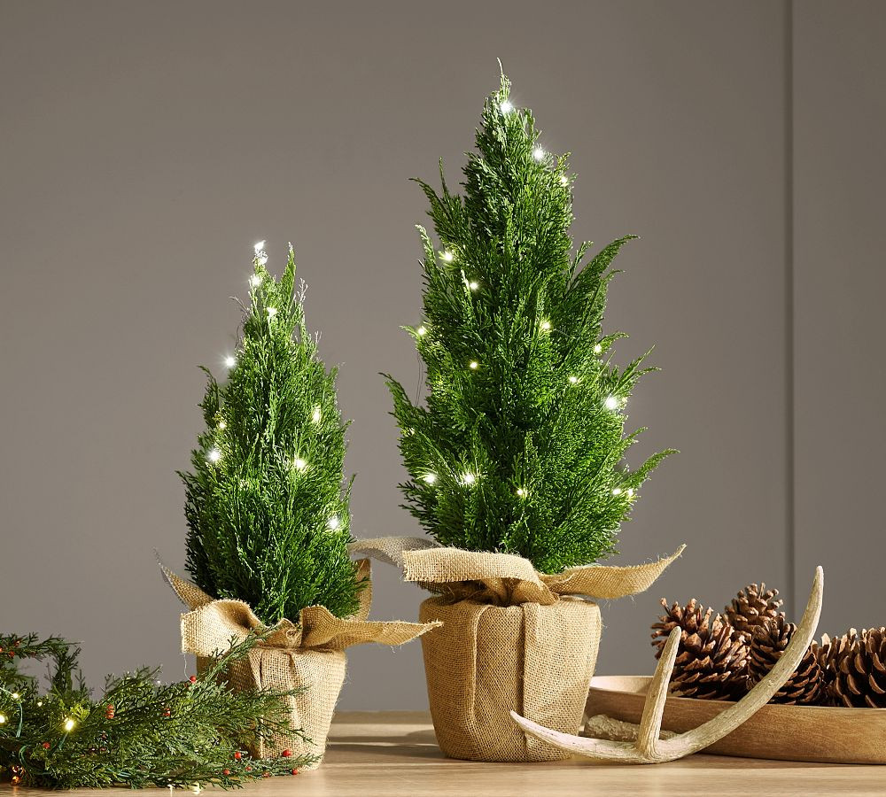 Faux Lit Topiary Pine Tree | Pottery Barn (US)
