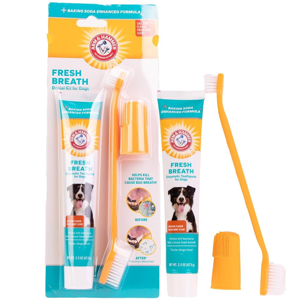 Arm & Hammer for Pets Fresh Breath Enzymatic Dog Dental Care Kit - Includes Dog Toothpaste, Dual ... | Amazon (US)