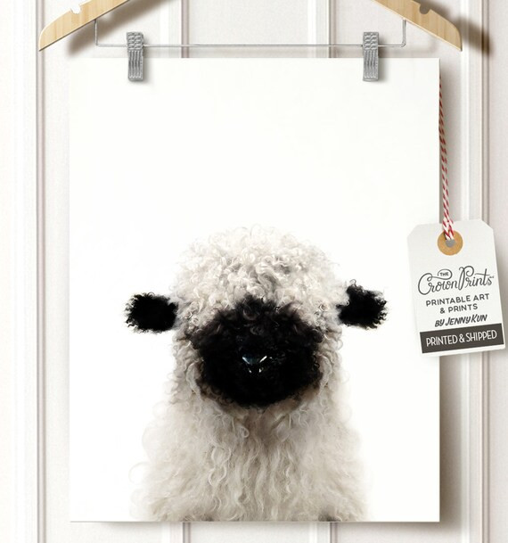 Blacknose sheep print Baby animal prints Nursery wall decor | Etsy | Etsy (US)