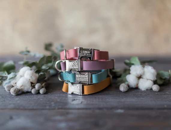 Engraved leather dog collar, Personalized dog collar, Personalized leather dog collar, cat collar... | Etsy (US)