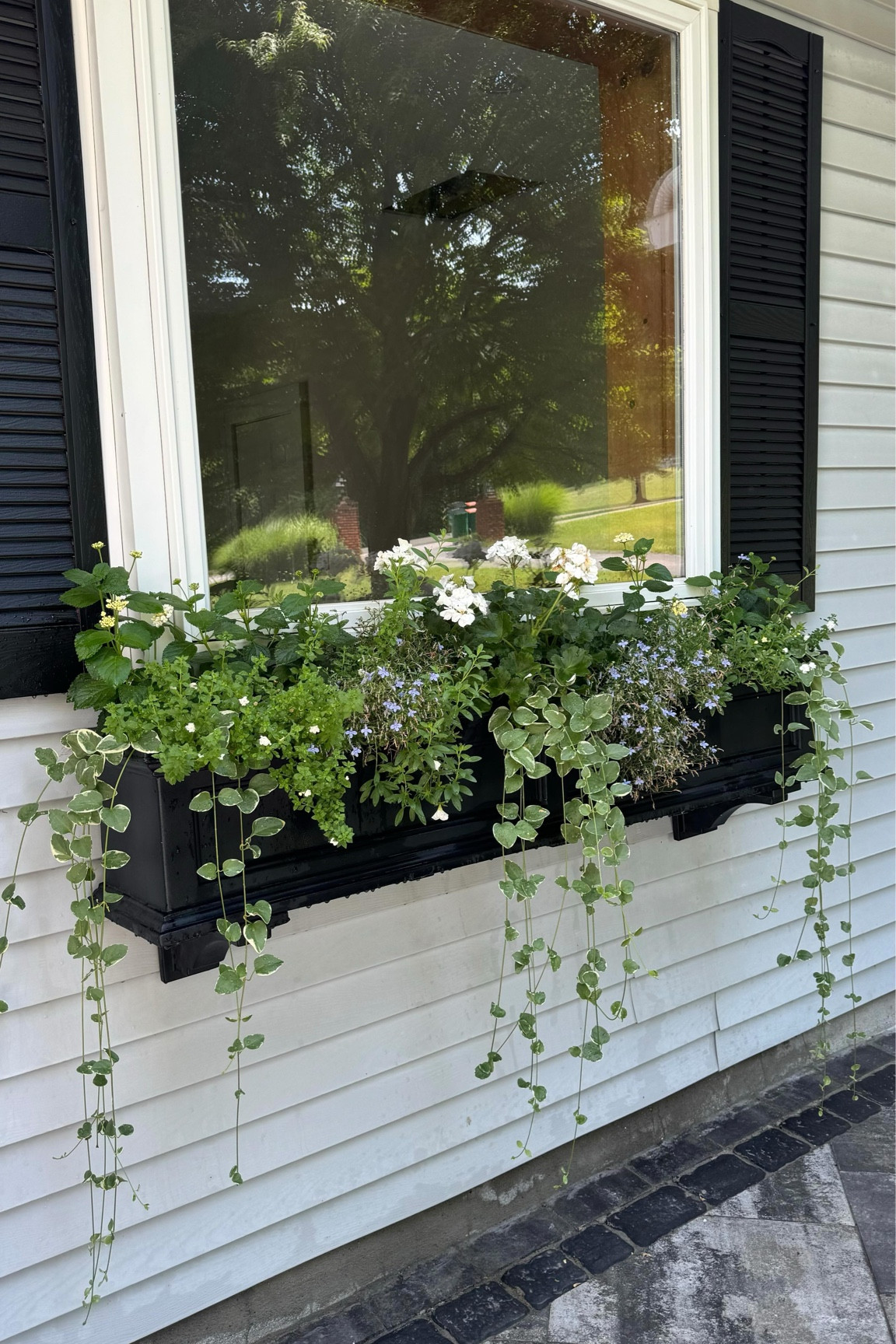 Window Box Makeover & Essentials 

🌱 flowers I used:
- variegated periwinkle vine
- lantana piña colada 
- bacopa 
- geranium
- lobelias

#LTKSummerSales #LTKHome #LTKSeasonal