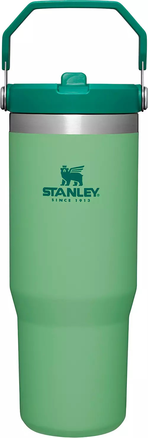 Stanley 30 Oz. IceFlow Tumbler with Flip Straw | Dick's Sporting Goods