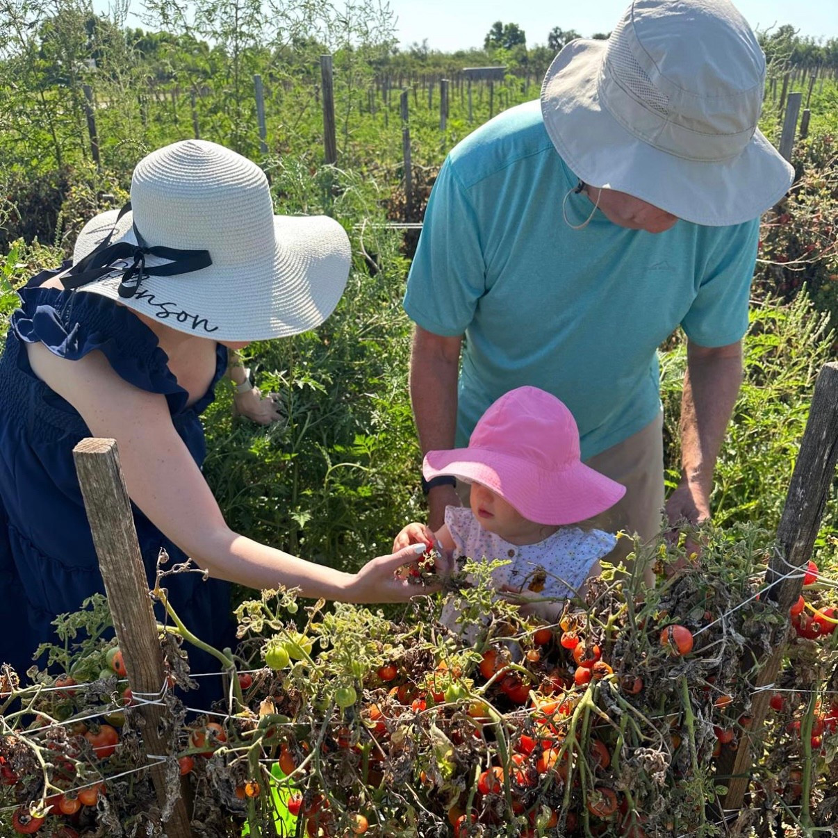 Hill House and hats at the strawberry farm! 👗👒🍓