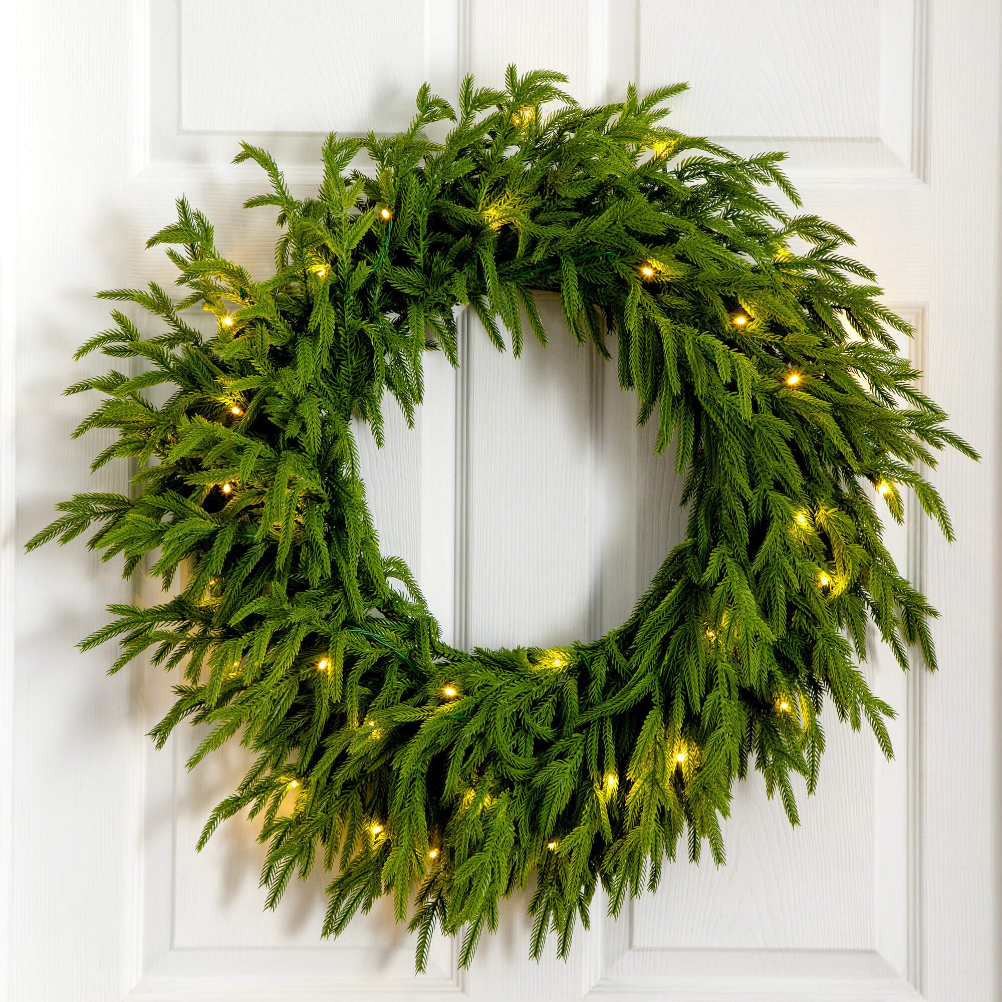 24" Pre-Lit Artificial Real Touch Norfolk Island Pine Wreath with 50 W | Nearly Natural